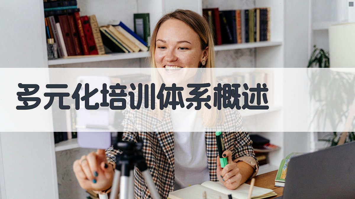 多元化培训体系概述 图1