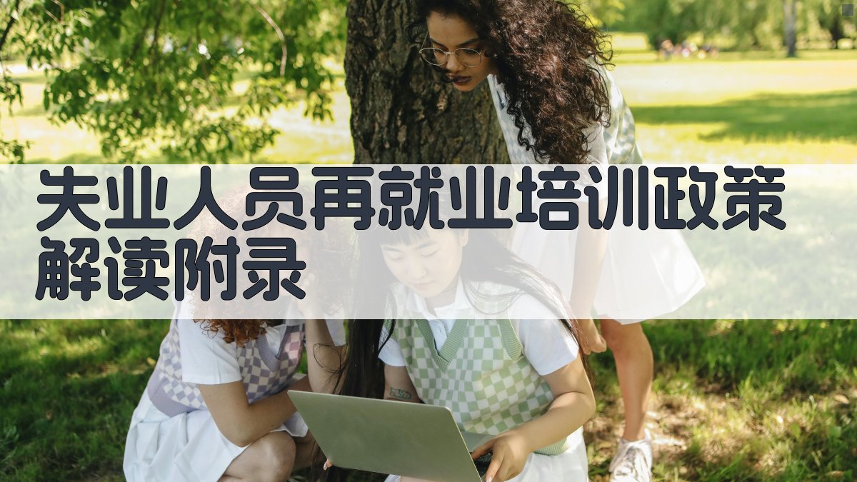 失业人员再就业培训政策解读 · 附录 图2