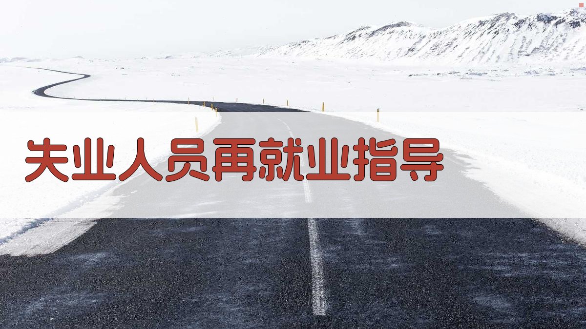 失业人员再就业指导 图4