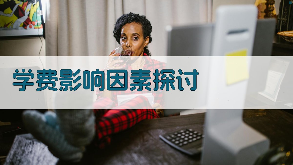 学费影响因素探讨 图3