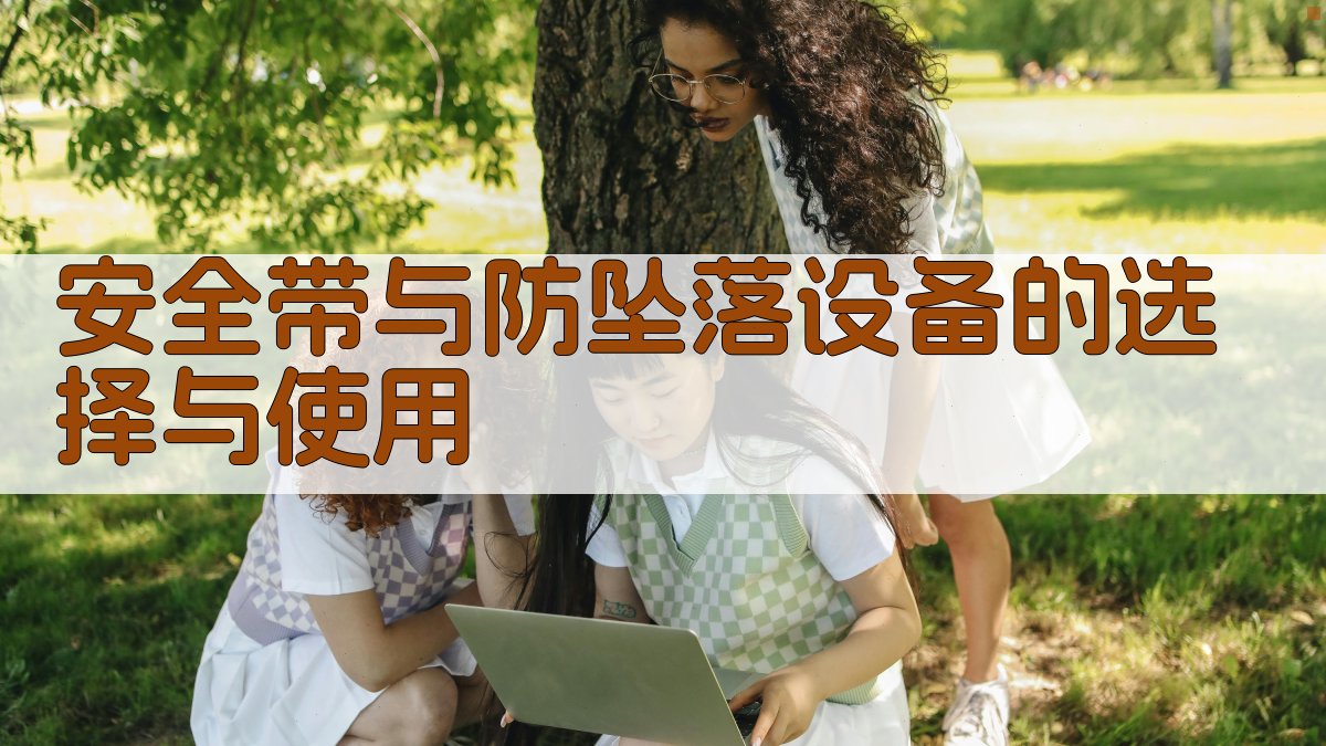 安全带与防坠落设备的选择与使用 图2