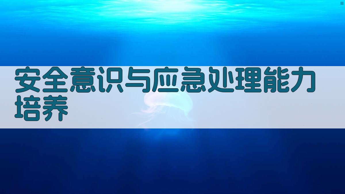 安全意识与应急处理能力培养 图1