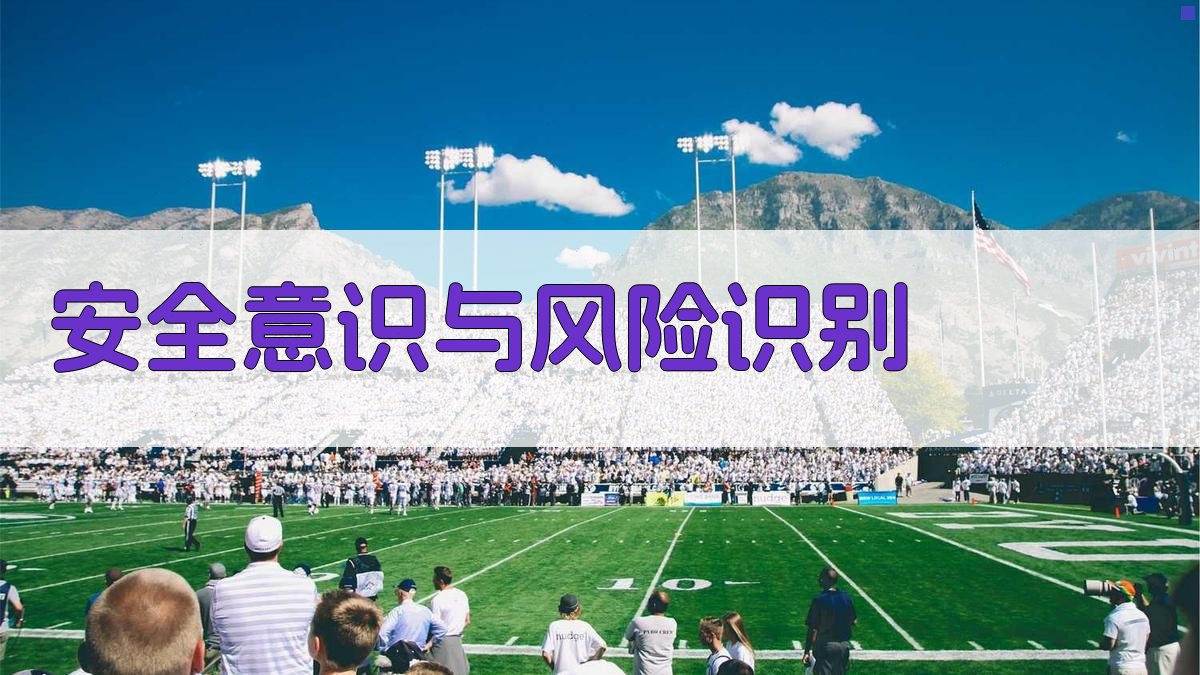 安全意识与风险识别 图2