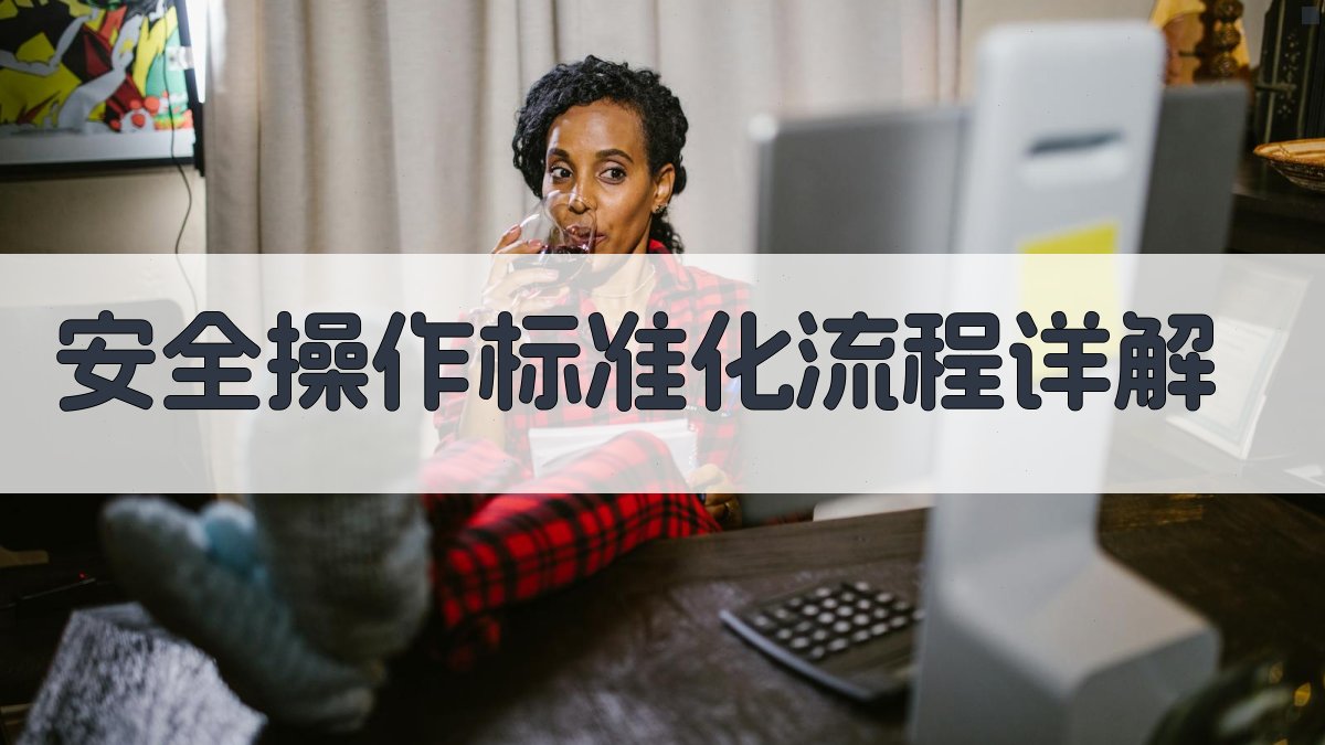 安全操作标准化流程详解 图3