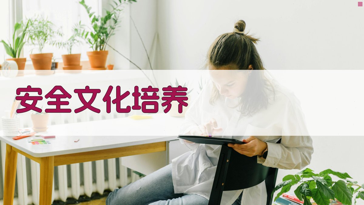 安全文化培养 图3