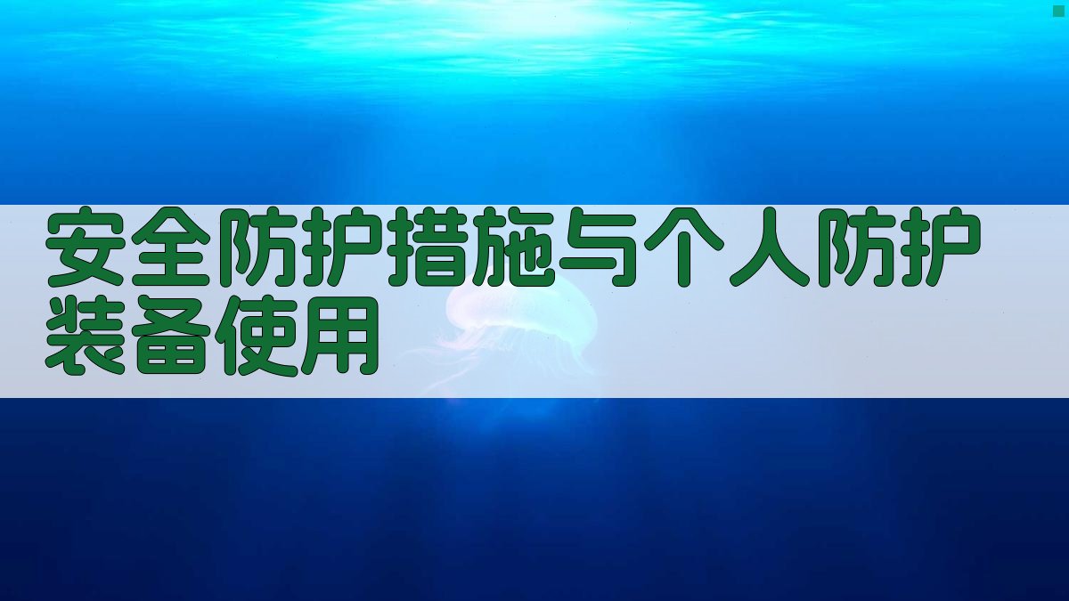 安全防护措施与个人防护装备使用 图2