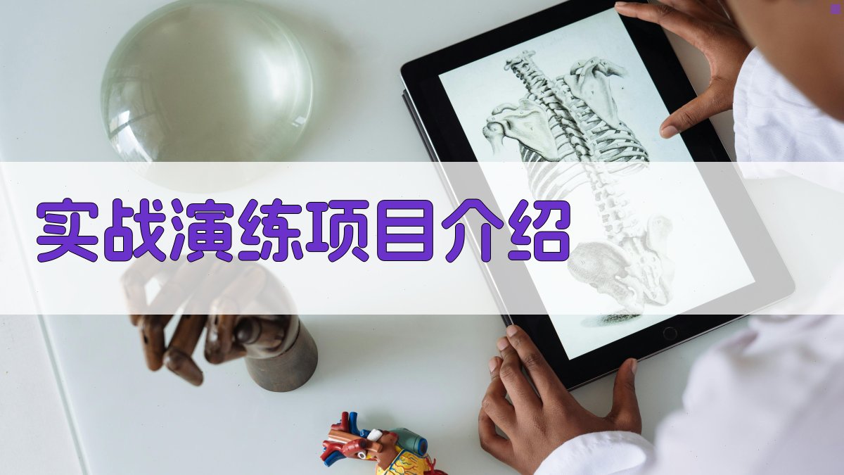 实战演练项目介绍 图2