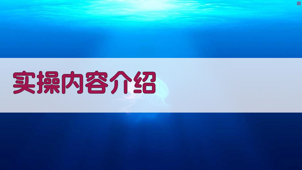 实操内容介绍 图1