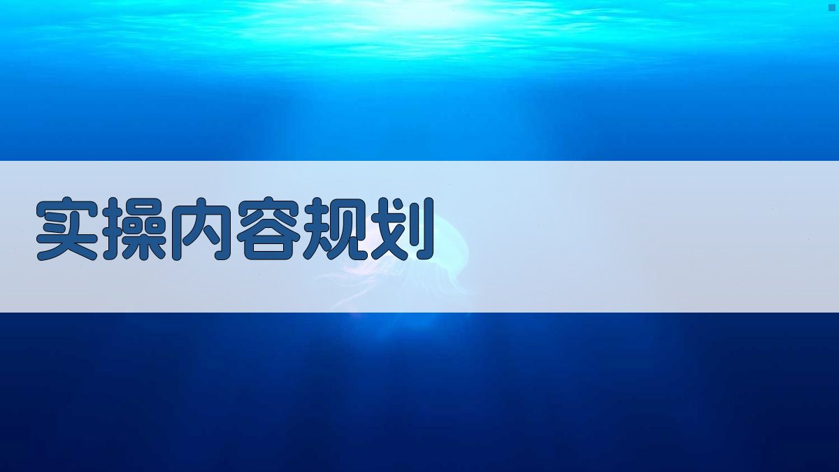 实操内容规划 图2
