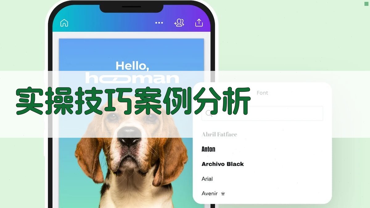 实操技巧案例分析 图2