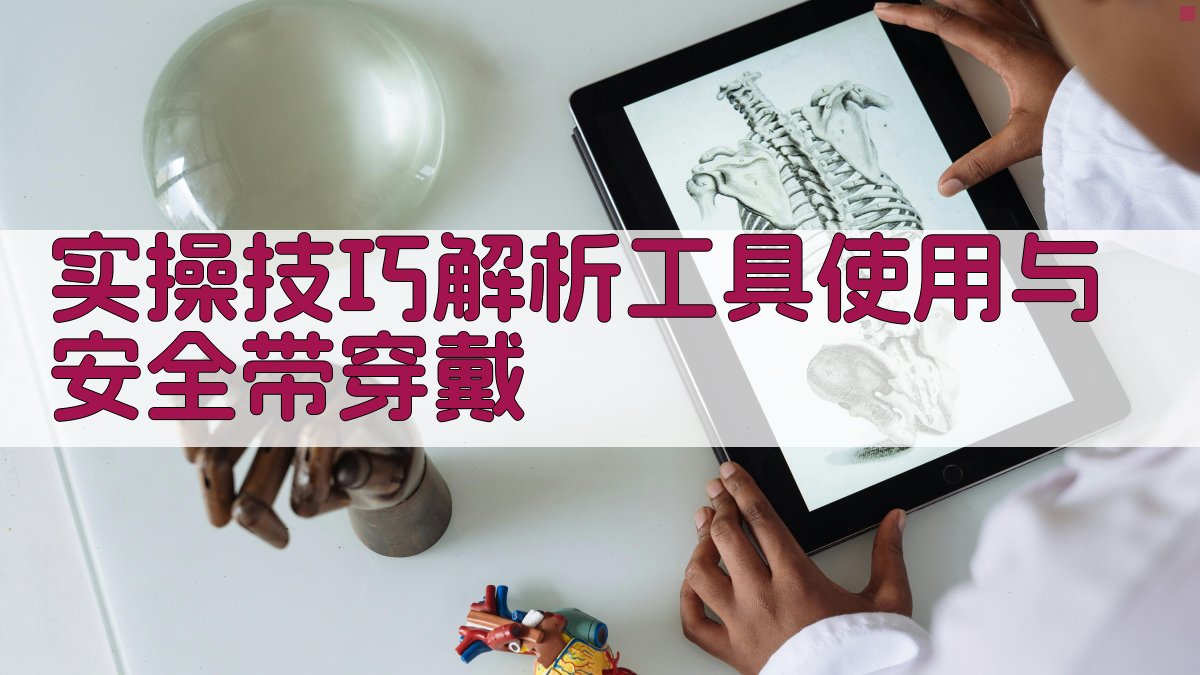 实操技巧解析工具使用与安全带穿戴 图2