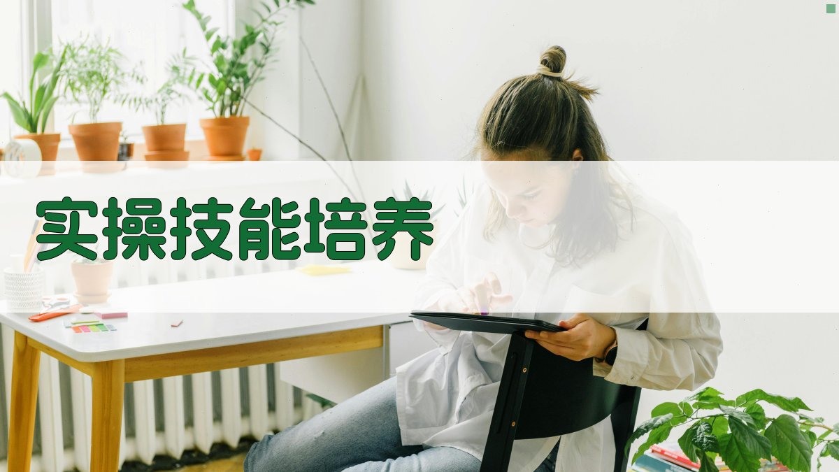 实操技能培养 图3