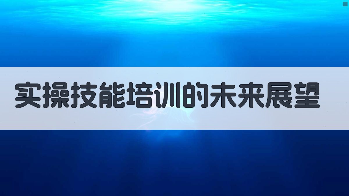 实操技能培训的未来展望 图3