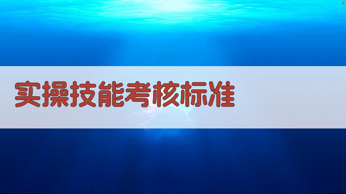 实操技能考核标准 图4
