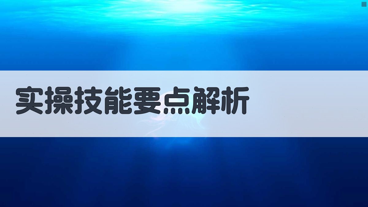 实操技能要点解析 图2