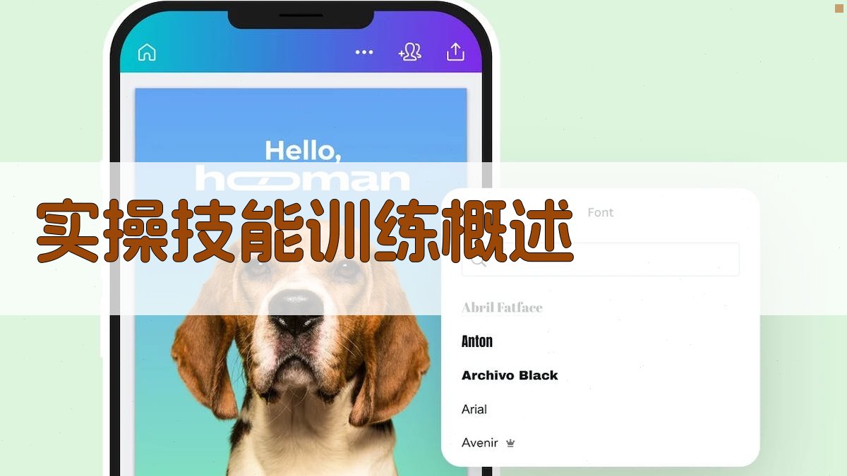实操技能训练概述 图1