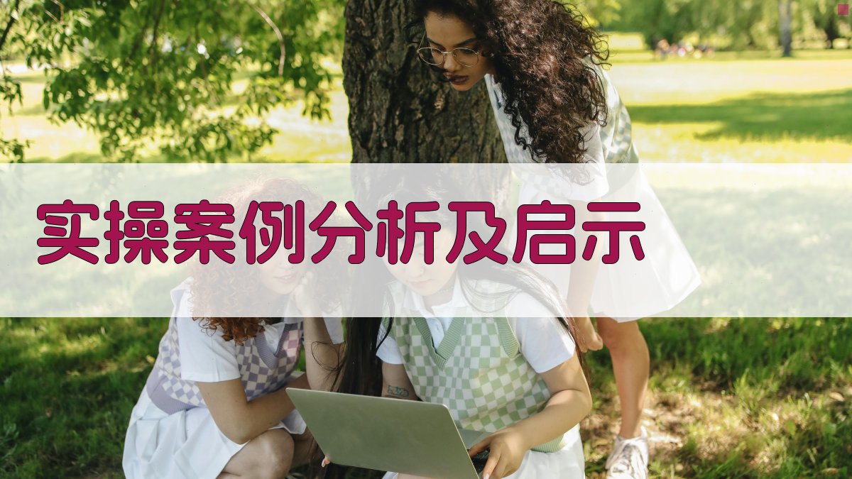 实操案例分析及启示 图2