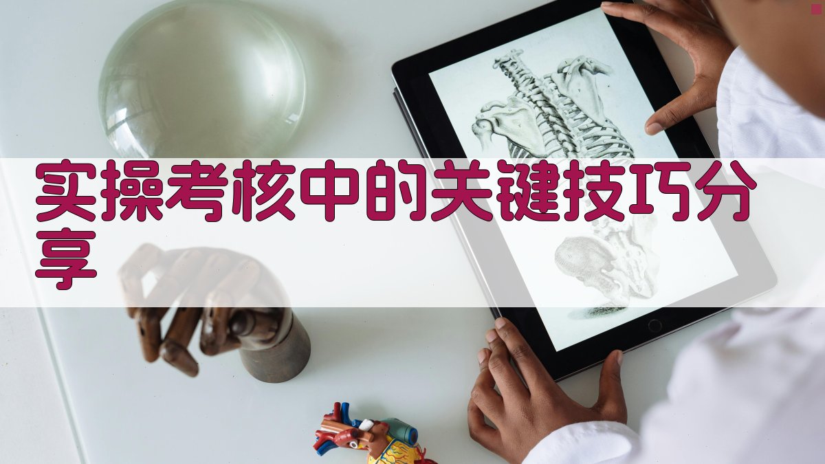 实操考核中的关键技巧分享 图1