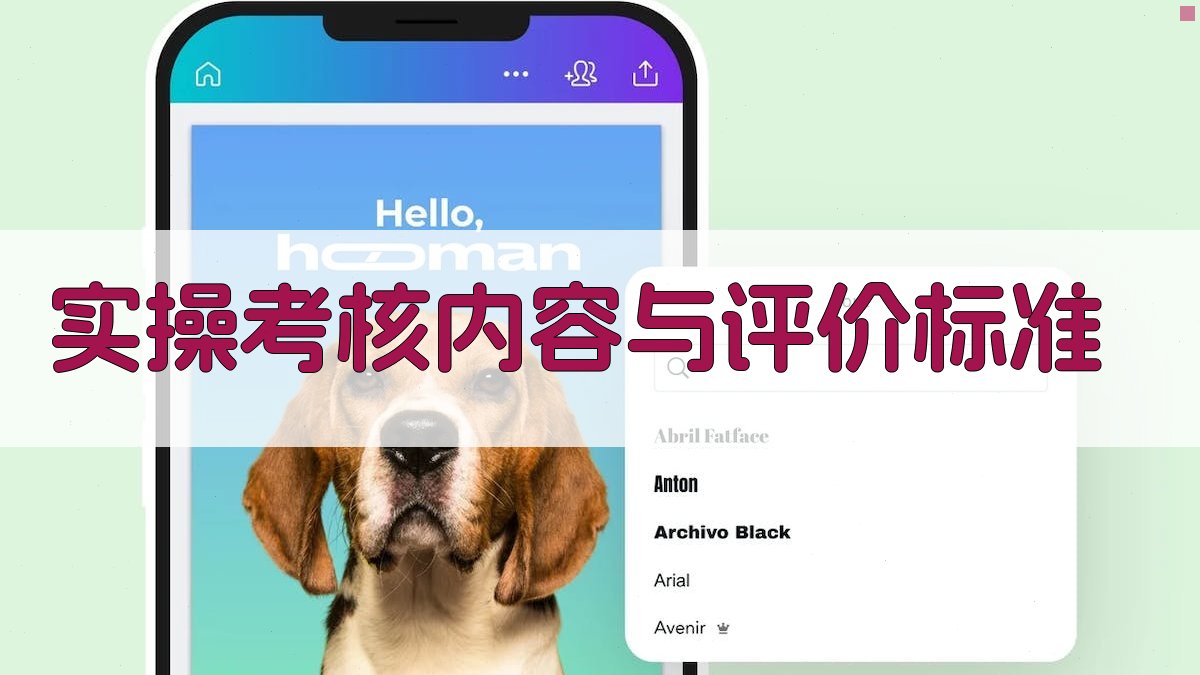 实操考核内容与评价标准 图2
