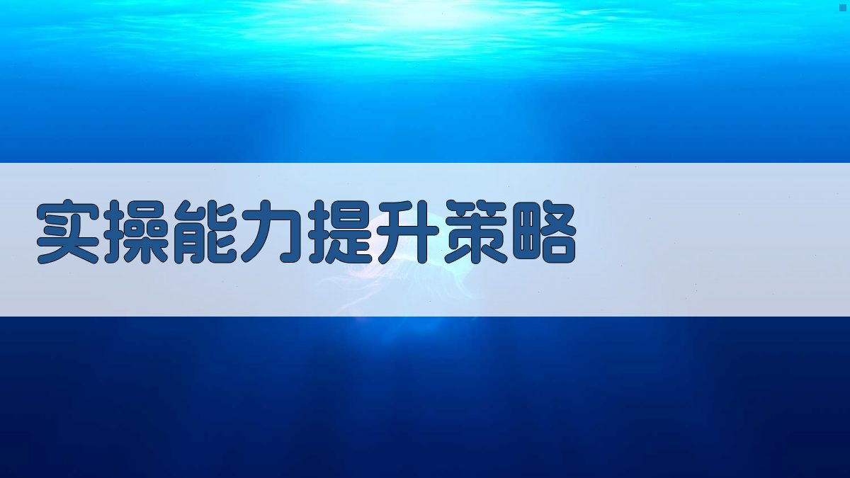 实操能力提升策略 图2