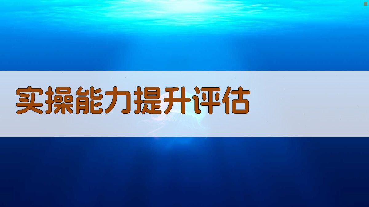 实操能力提升评估 图2