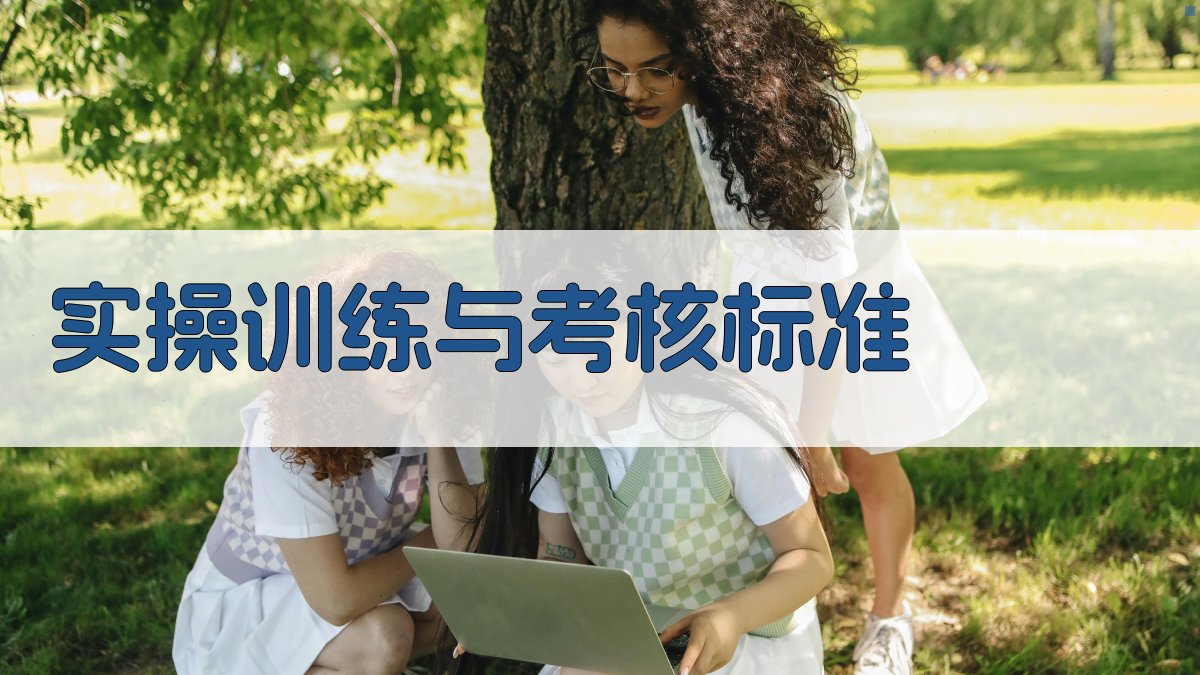 实操训练与考核标准 图3