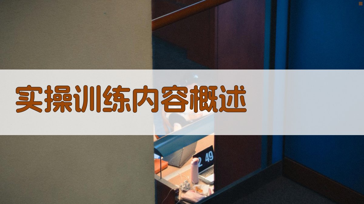 实操训练内容概述 图2