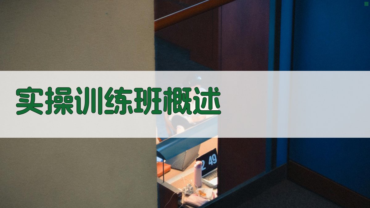 实操训练班概述 图1
