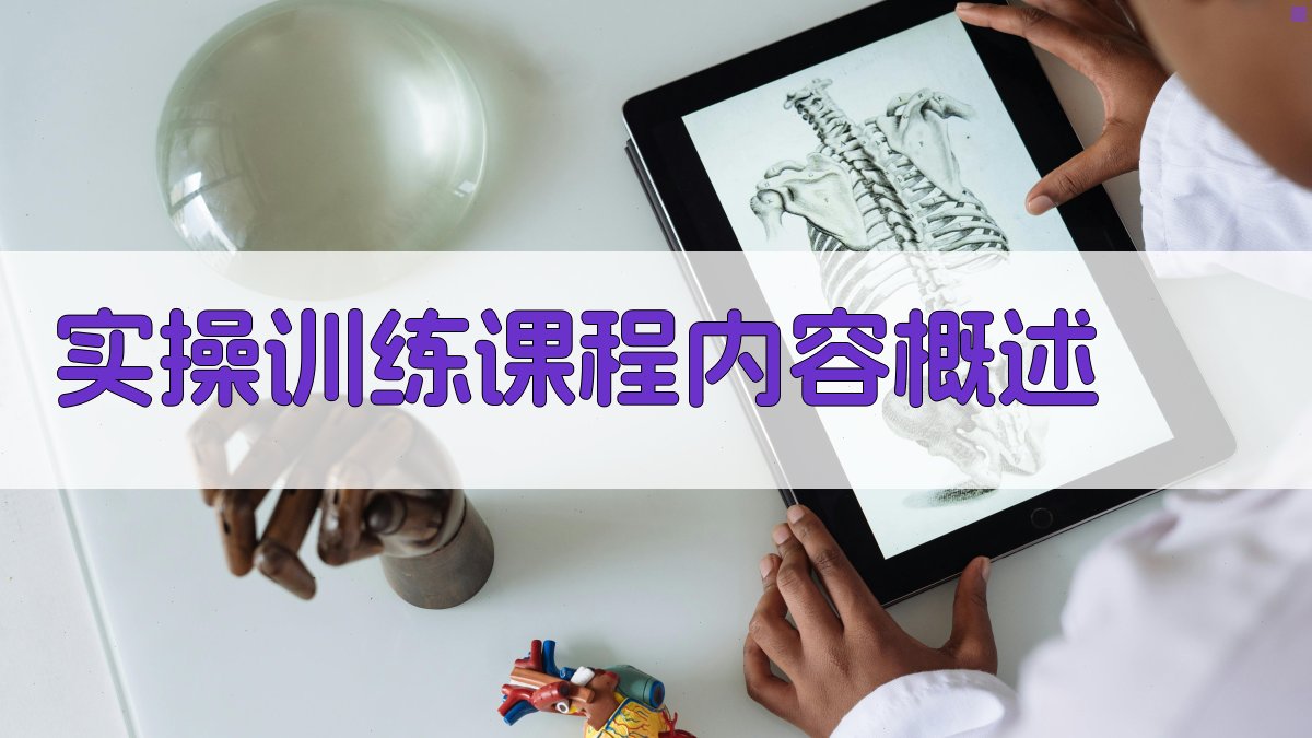 实操训练课程内容概述 图1