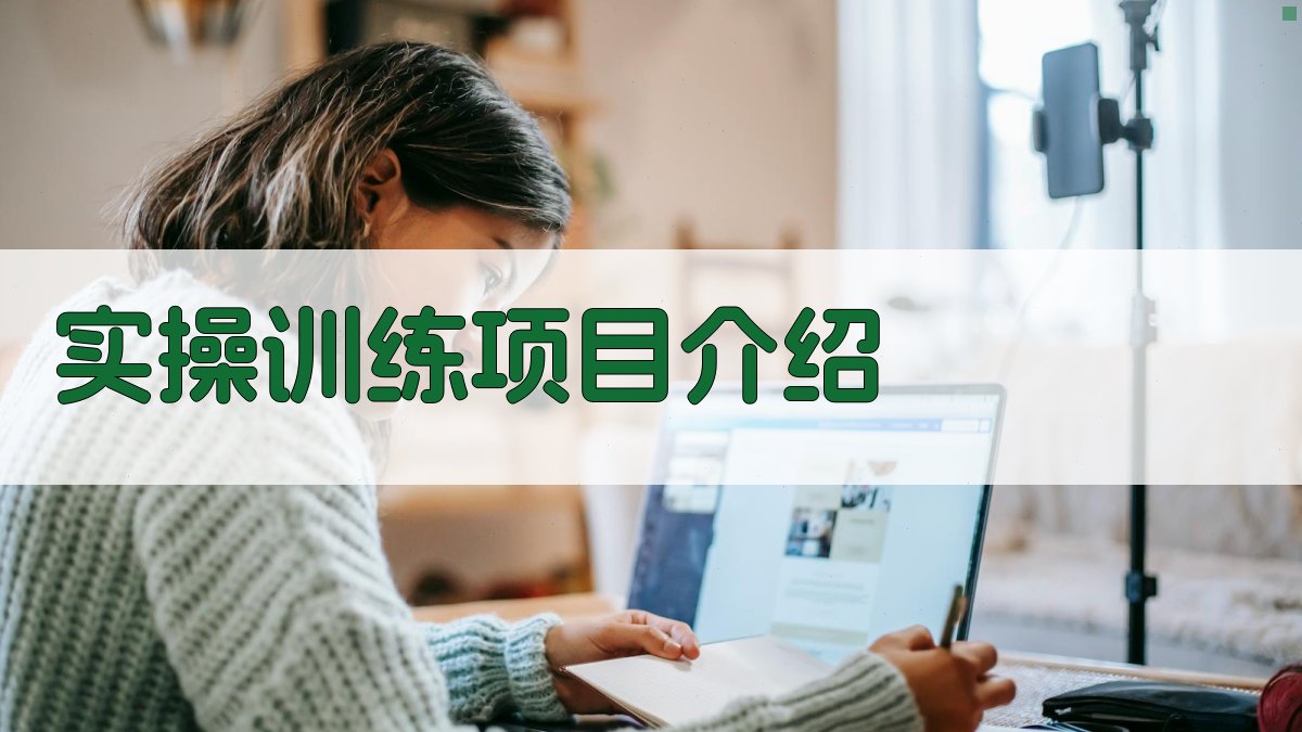 实操训练项目介绍 图3
