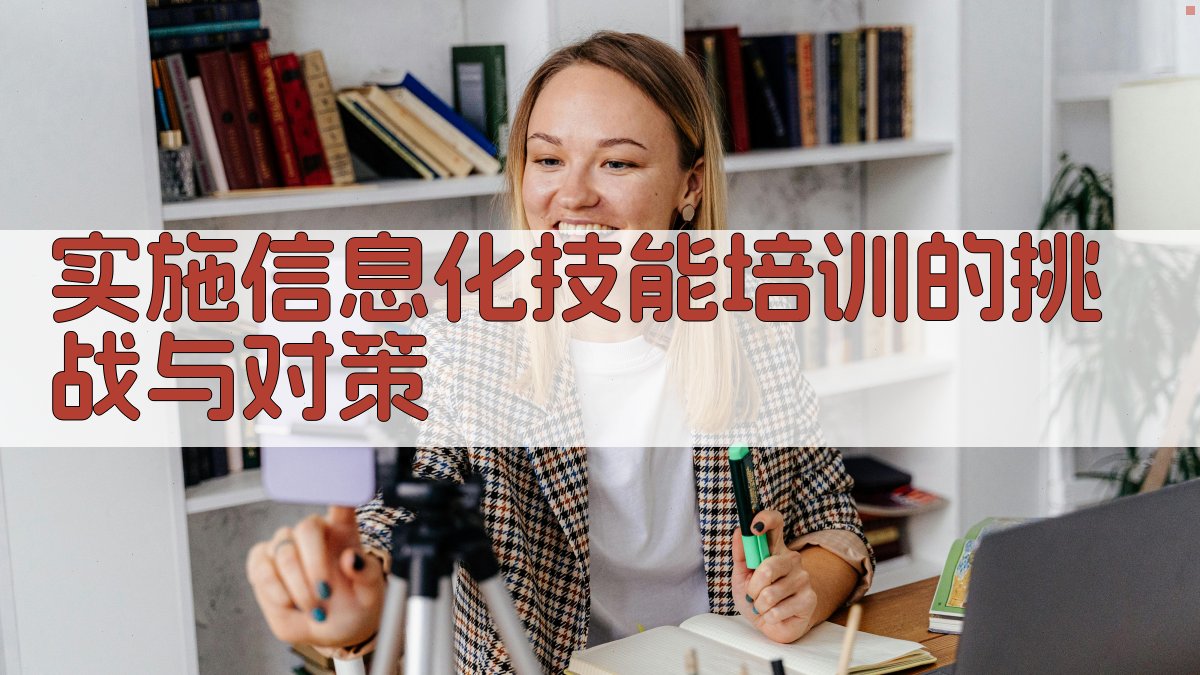 实施信息化技能培训的挑战与对策 图1