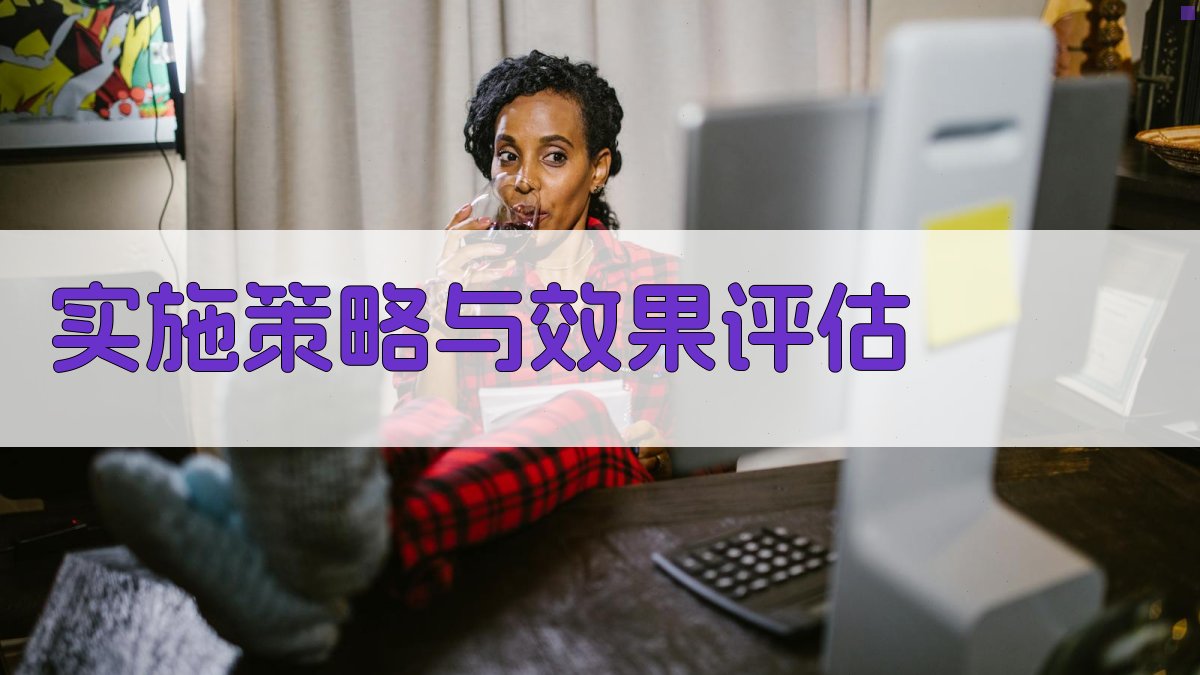 实施策略与效果评估 图2