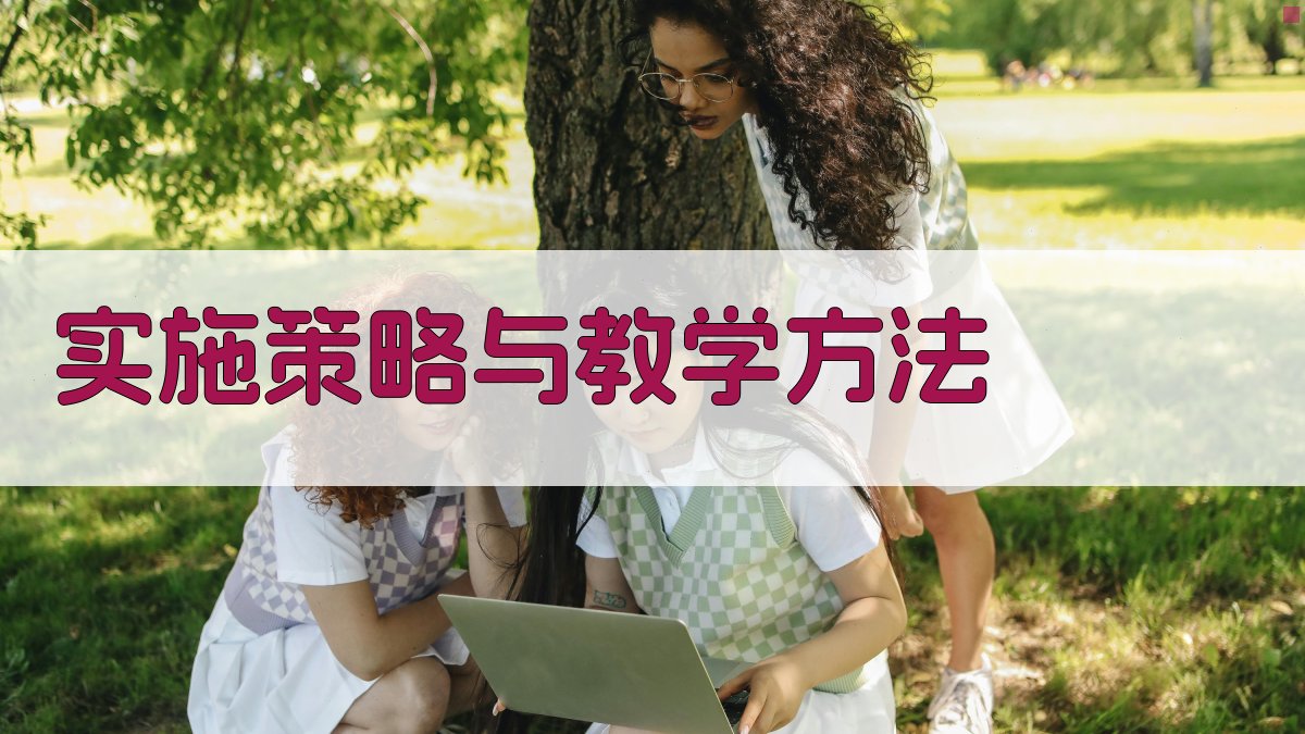 实施策略与教学方法 图2