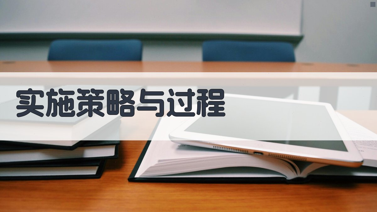 实施策略与过程 图2