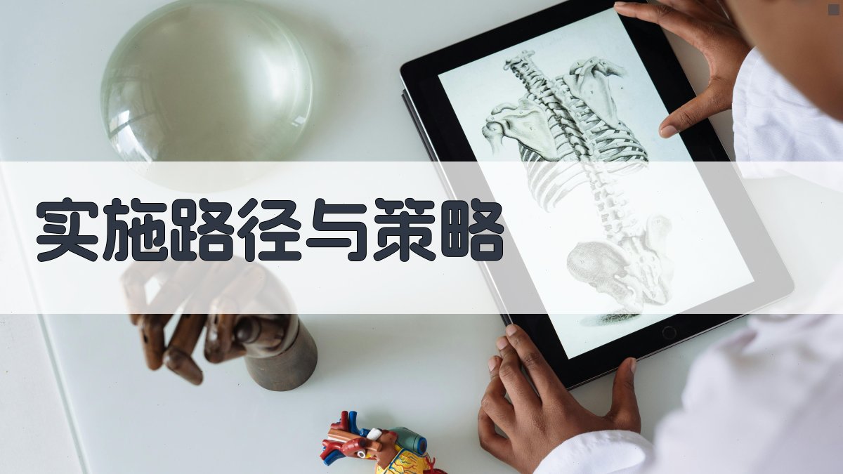 实施路径与策略 图3