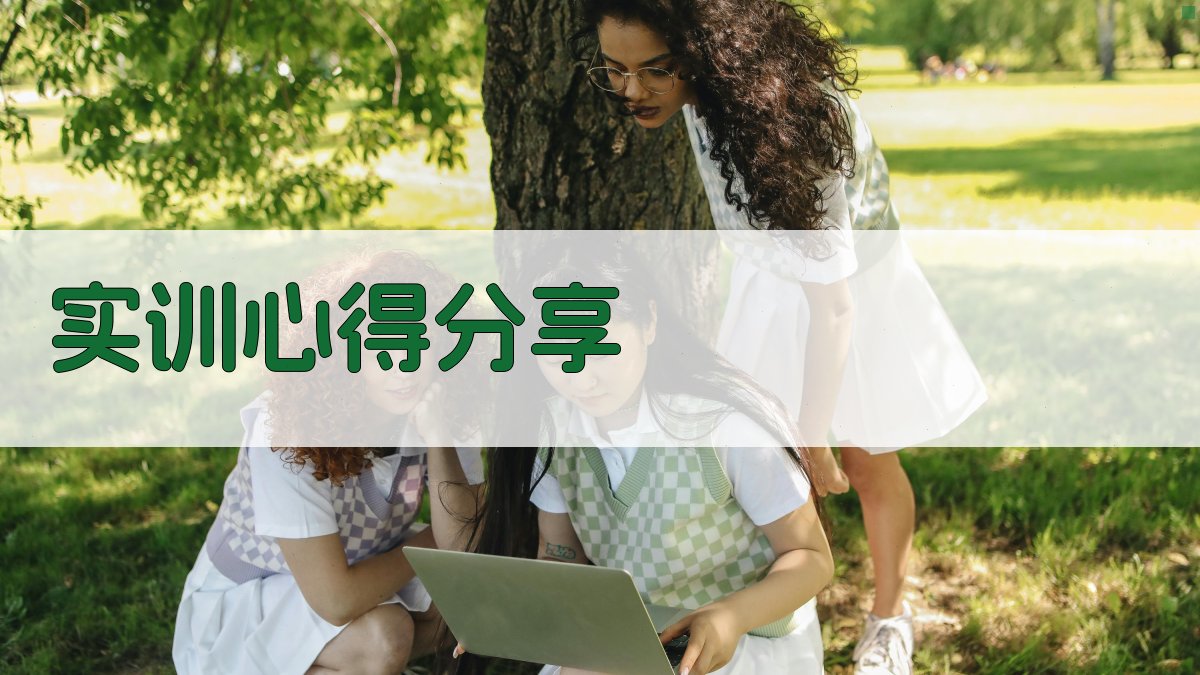 实训心得分享 图4