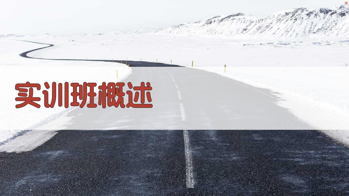 实训班概述 图1
