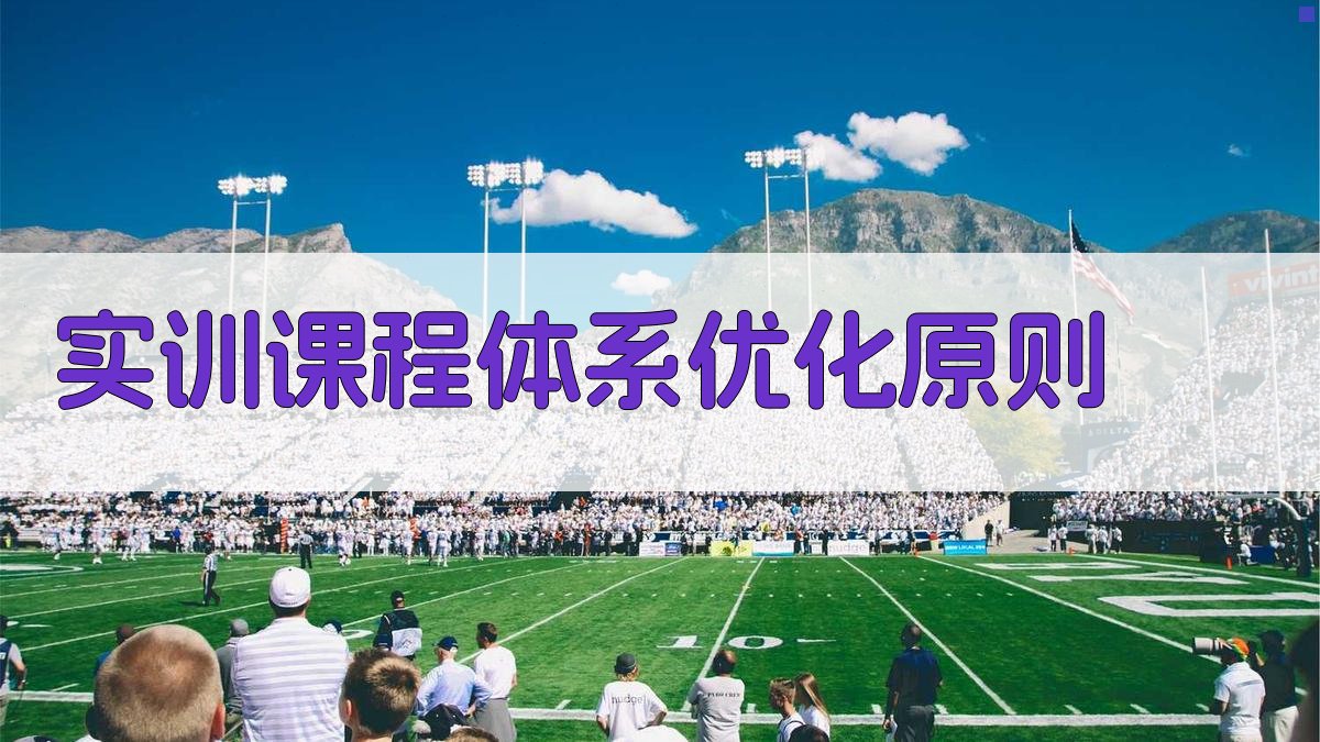 实训课程体系优化原则 图1