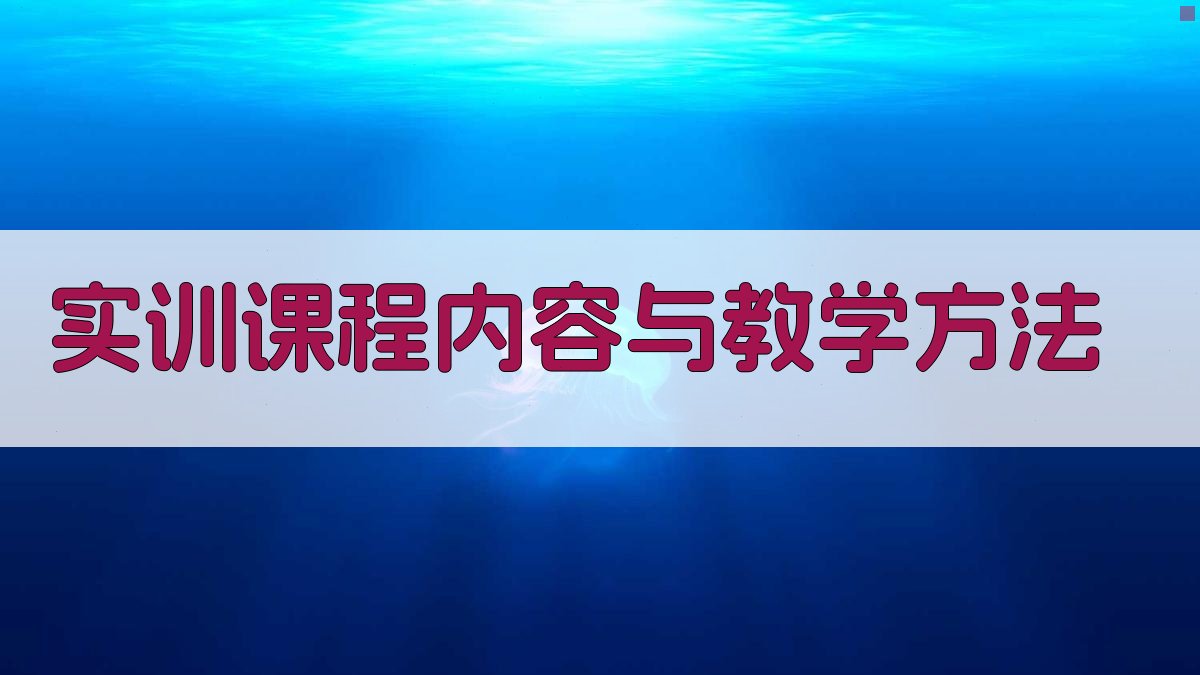 实训课程内容与教学方法 图2