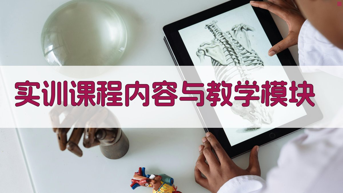 实训课程内容与教学模块 图2