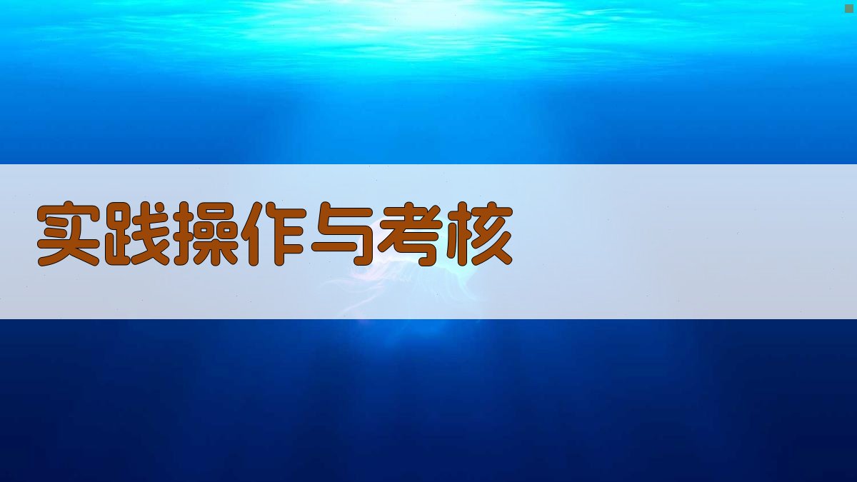 实践操作与考核 图2