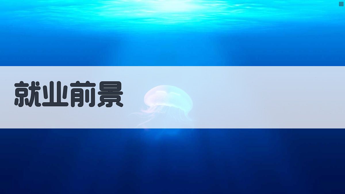 就业前景 图3