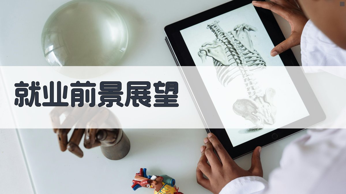 就业前景展望 图3