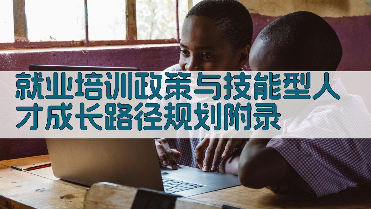就业培训政策与技能型人才成长路径规划 · 附录 图2