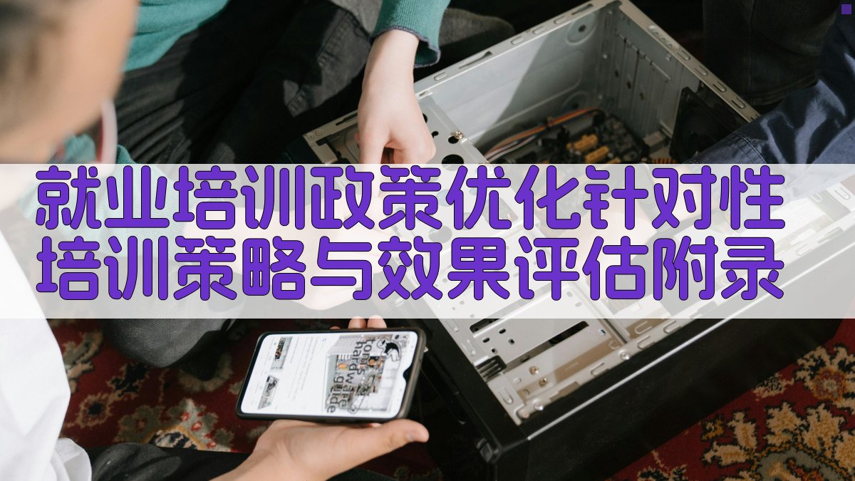 就业培训政策优化针对性培训策略与效果评估 · 附录 图4