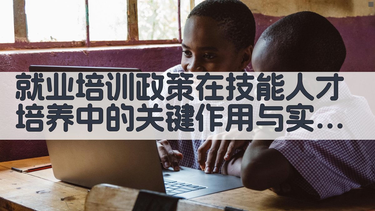 就业培训政策在技能人才培养中的关键作用与实施策略 · 附录 图4