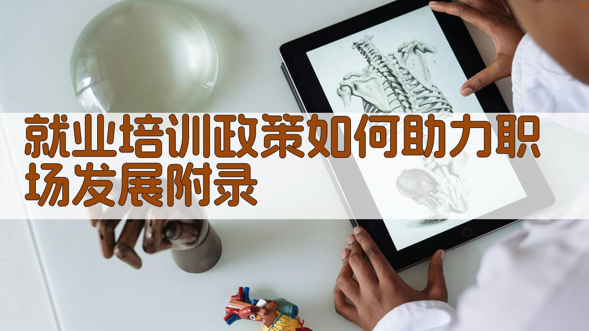 就业培训政策如何助力职场发展 · 附录 图3