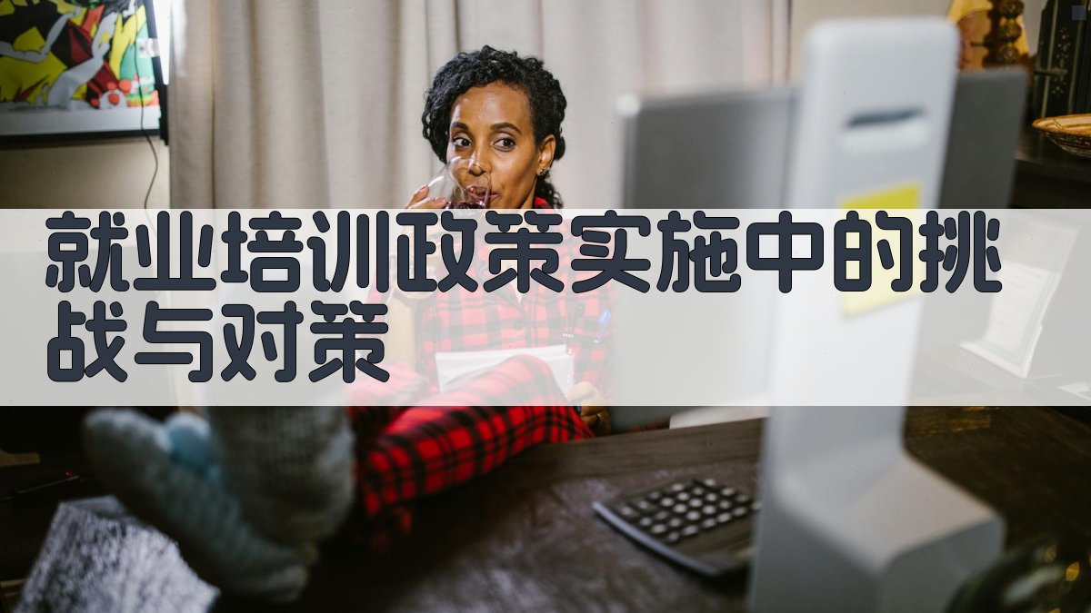 就业培训政策实施中的挑战与对策 图2