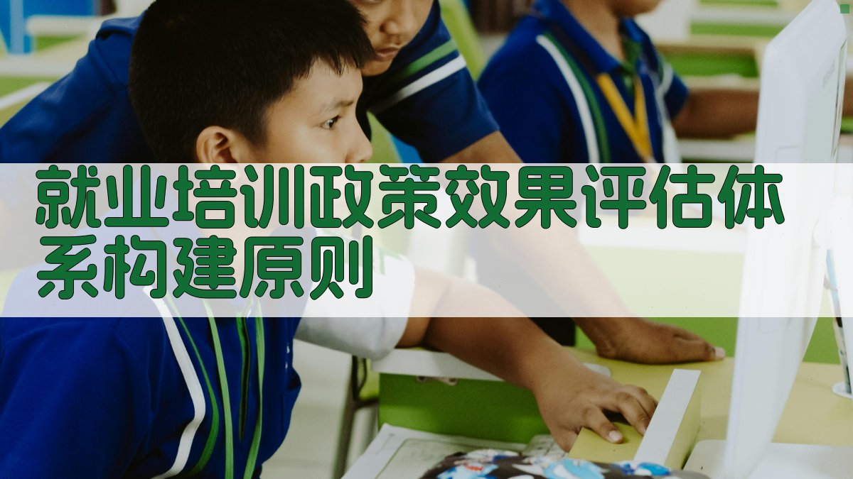 就业培训政策效果评估体系构建原则 图2