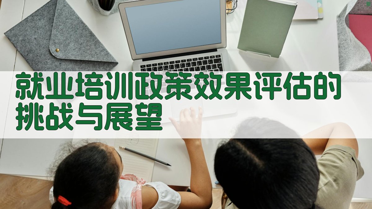 就业培训政策效果评估的挑战与展望 图3